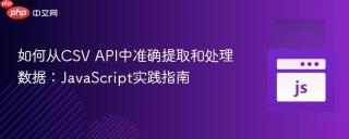 如何从CSV API中准确提取和处理数据：JavaScript实践指南
