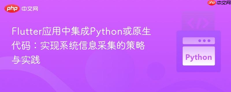 Flutter应用中集成Python或原生代码:实现系统信息采集的策略与实践