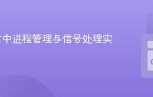 Go语言中进程管理与信号处理实战指南