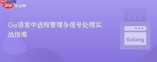 Go语言中进程管理与信号处理实战指南