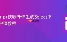 JavaScript获取PHP生成Select下拉框选中值教程