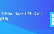 Go语言中向interface{}切片追加nil的正确姿势