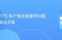 Go HTTPS 客户端连接复用问题详解与解决方案
