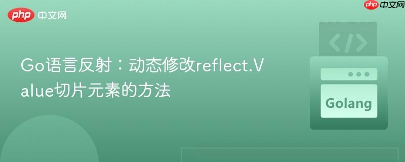 Go语言反射：动态修改reflect.Value切片元素的方法