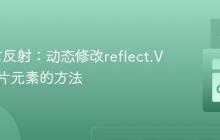 Go语言反射：动态修改reflect.Value切片元素的方法