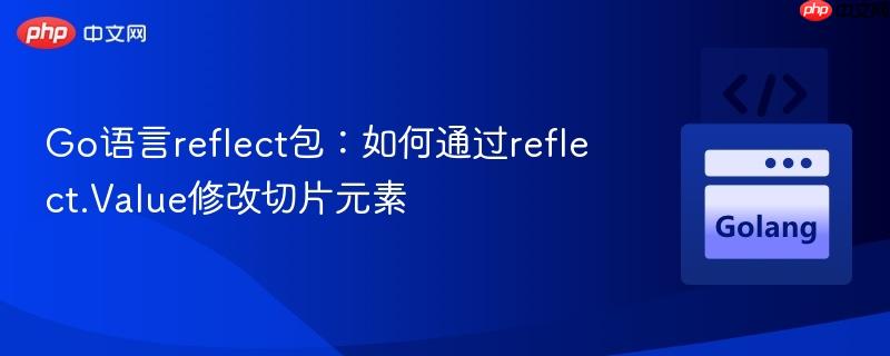 Go语言reflect包：如何通过reflect.Value修改切片元素