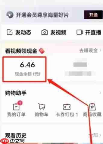 西瓜视频怎么提现？-西瓜视频提现的方法