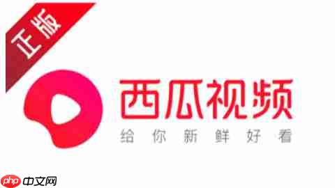 西瓜视频怎么提现？-西瓜视频提现的方法