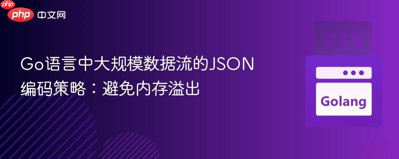 Go语言中大规模数据流的JSON编码策略:避免内存溢出
