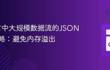 Go语言中大规模数据流的JSON编码策略：避免内存溢出