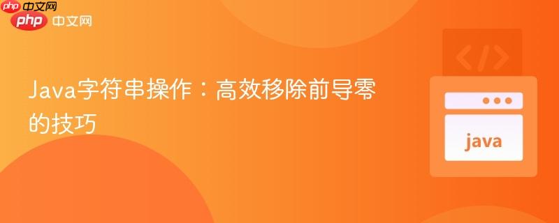 Java字符串操作:高效移除前导零的技巧