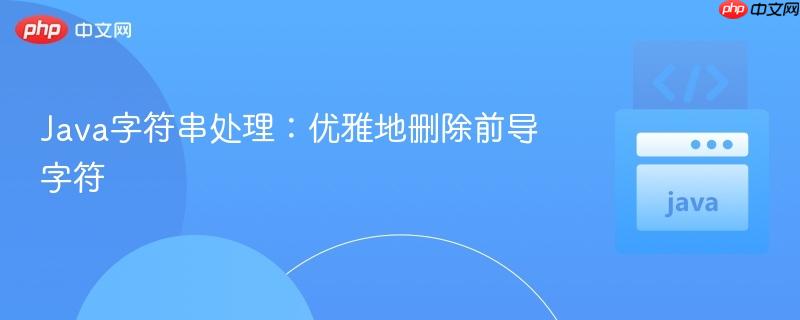 Java字符串处理：优雅地删除前导字符
