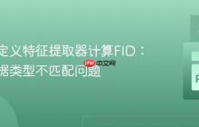 使用自定义特征提取器计算FID：解决数据类型不匹配问题