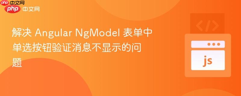 解决 angular ngmodel 表单中单选按钮验证消息不显示的问题