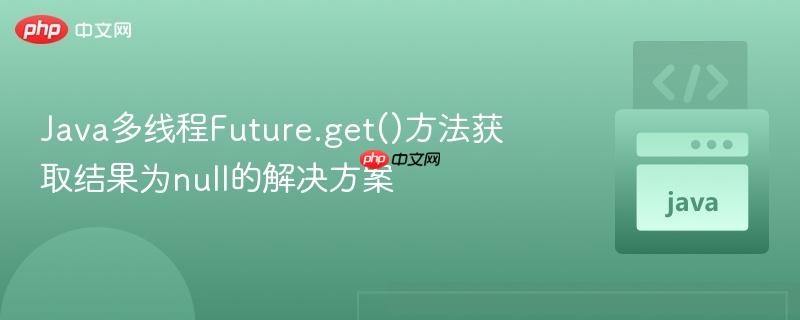 Java多线程Future.get()方法获取结果为null的解决方案 Java多线程Future.get()方法获取结果为null的解决方案