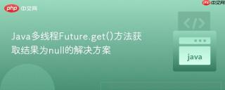 Java多线程Future.get()方法获取结果为null的解决方案