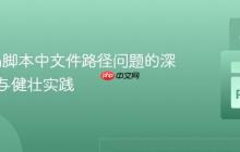 Python脚本中文件路径问题的深度解析与健壮实践