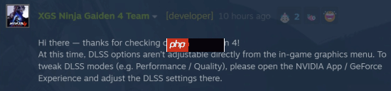 《忍龙4》PC优化实测：运行丝滑 但画面表现让人意外