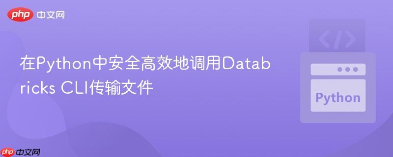 在Python中安全高效地调用Databricks CLI传输文件 在Python中安全高效地调用Databricks CLI传输文件