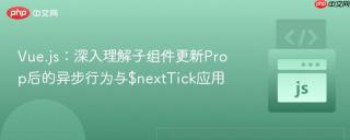 Vue.js：深入理解子组件更新Prop后的异步行为与$nextTick应用