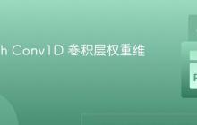 PyTorch Conv1D 卷积层权重维度解析