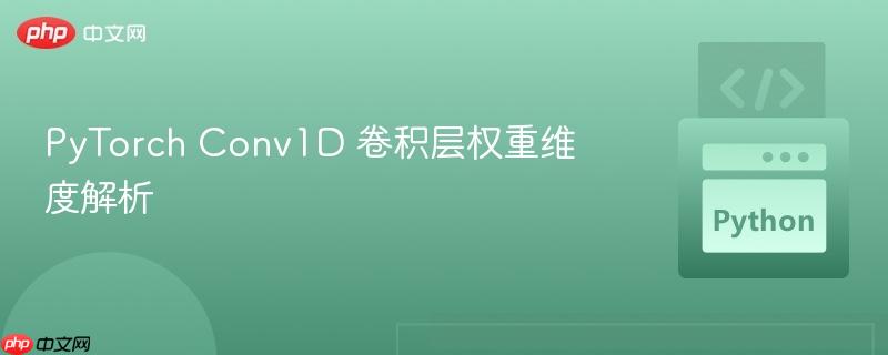 PyTorch Conv1D 卷积层权重维度解析
