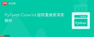PyTorch Conv1d 层权重维度深度解析