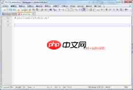 Notepad如何调节视图大小 Notepad如何调节视图大小