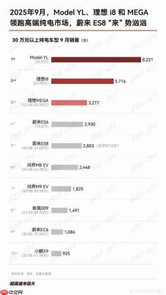 9月30万以上纯电车型哪些卖得好?理想两款车进前三