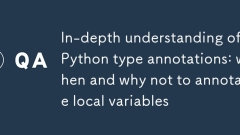 Vertiefendes Verständnis von Python-Typanmerkungen: Wann und warum man lokale Variablen nicht annotieren sollte