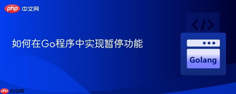 如何在Go程序中实现暂停功能

