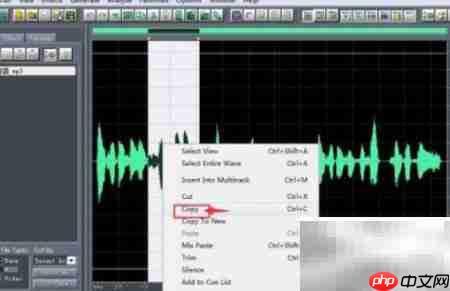 Cool Edit Pro乐段复制教程