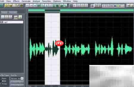 Cool Edit Pro乐段复制教程