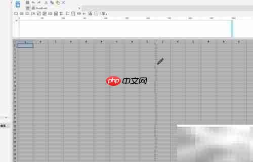 FineReport调用扫描控件显示列表