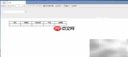 FineReport调用扫描控件显示列表