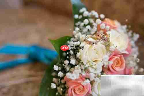 优秀商业计划书的核心要素