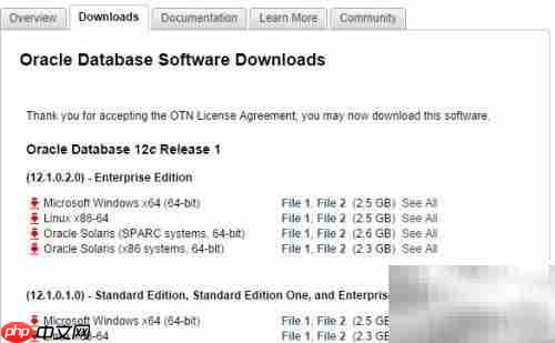 创建oracle数据库实例