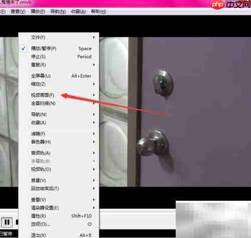 Shuttle影音双倍尺寸使用教程