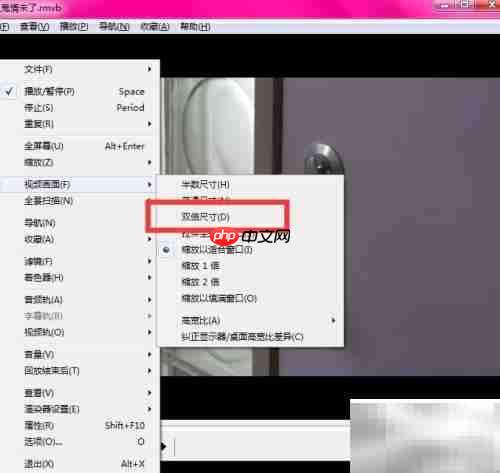 Shuttle影音双倍尺寸使用教程