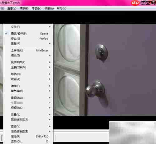 Shuttle影音双倍尺寸使用教程