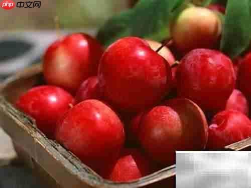 减肥必备卡路里热量速查