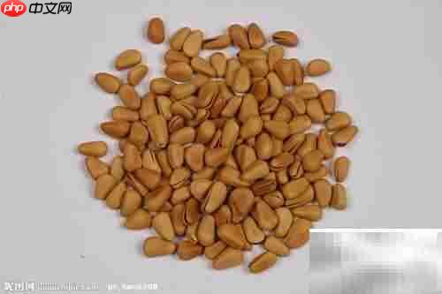 减肥必备卡路里热量速查