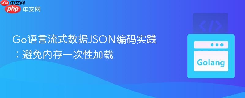 Go语言流式数据JSON编码实践：避免内存一次性加载