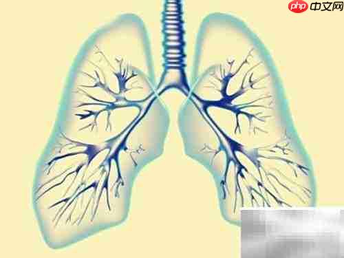 3岁半宝宝发烧转肺炎应对指南