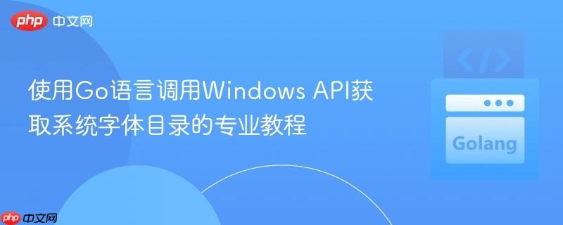 使用Go语言调用Windows API获取系统字体目录的专业教程
