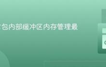 Go语言包内部缓冲区内存管理最佳实践