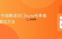 Go语言中函数返回[]byte哈希值的正确测试方法