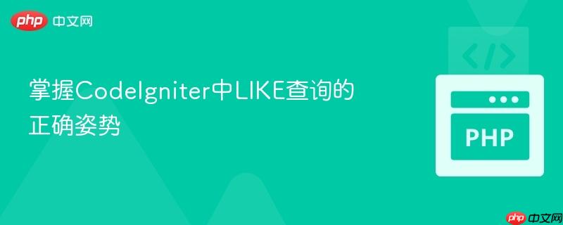 掌握CodeIgniter中LIKE查询的正确姿势