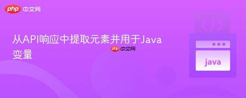 从API响应中提取元素并用于Java变量