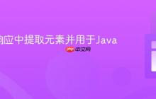 从API响应中提取元素并用于Java变量